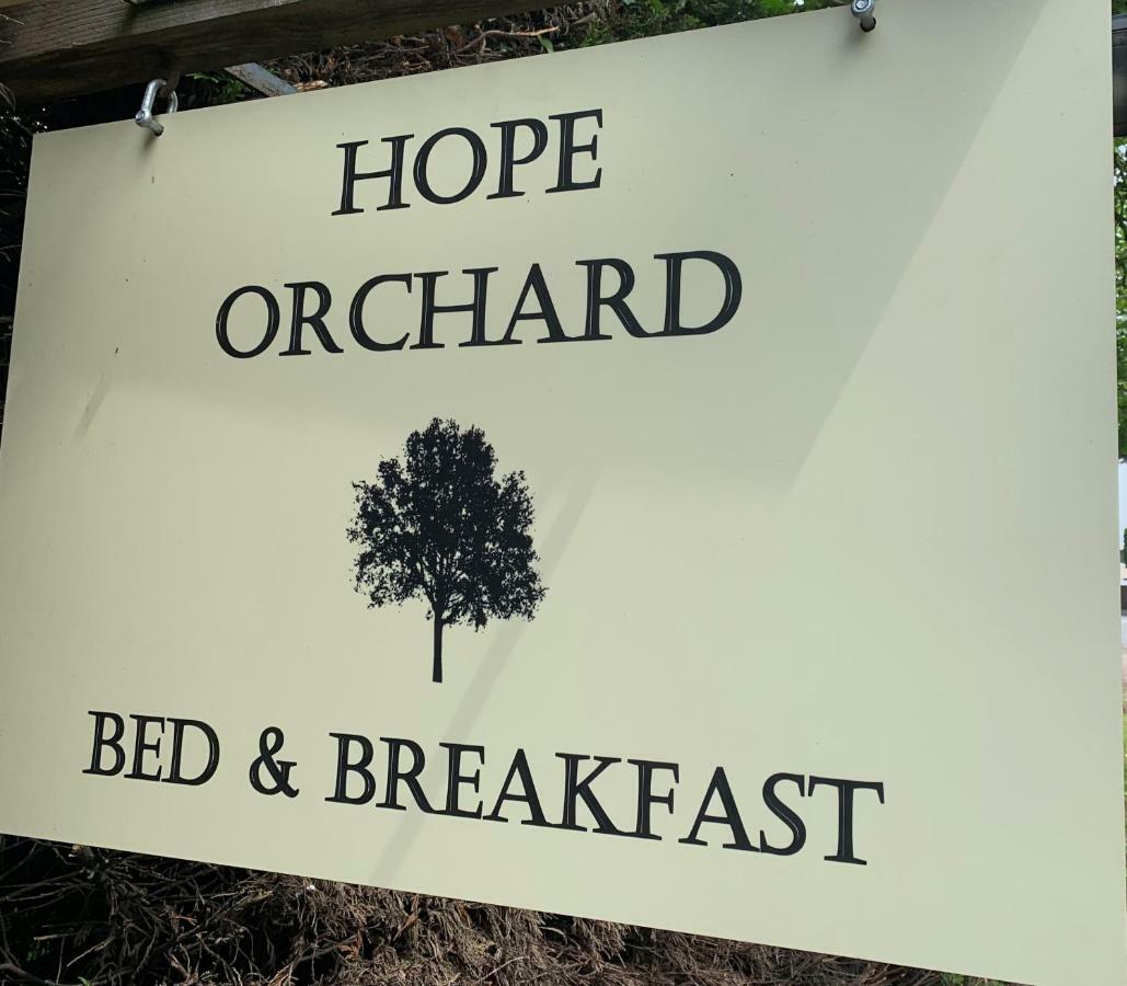 Hope Orchard Bed & Breakfast Golden Valley Bagian luar foto