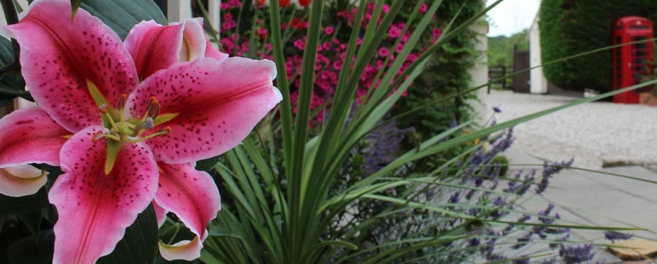 Hope Orchard Bed & Breakfast Golden Valley Bagian luar foto