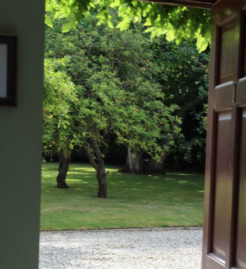 Hope Orchard Bed & Breakfast Golden Valley Bagian luar foto