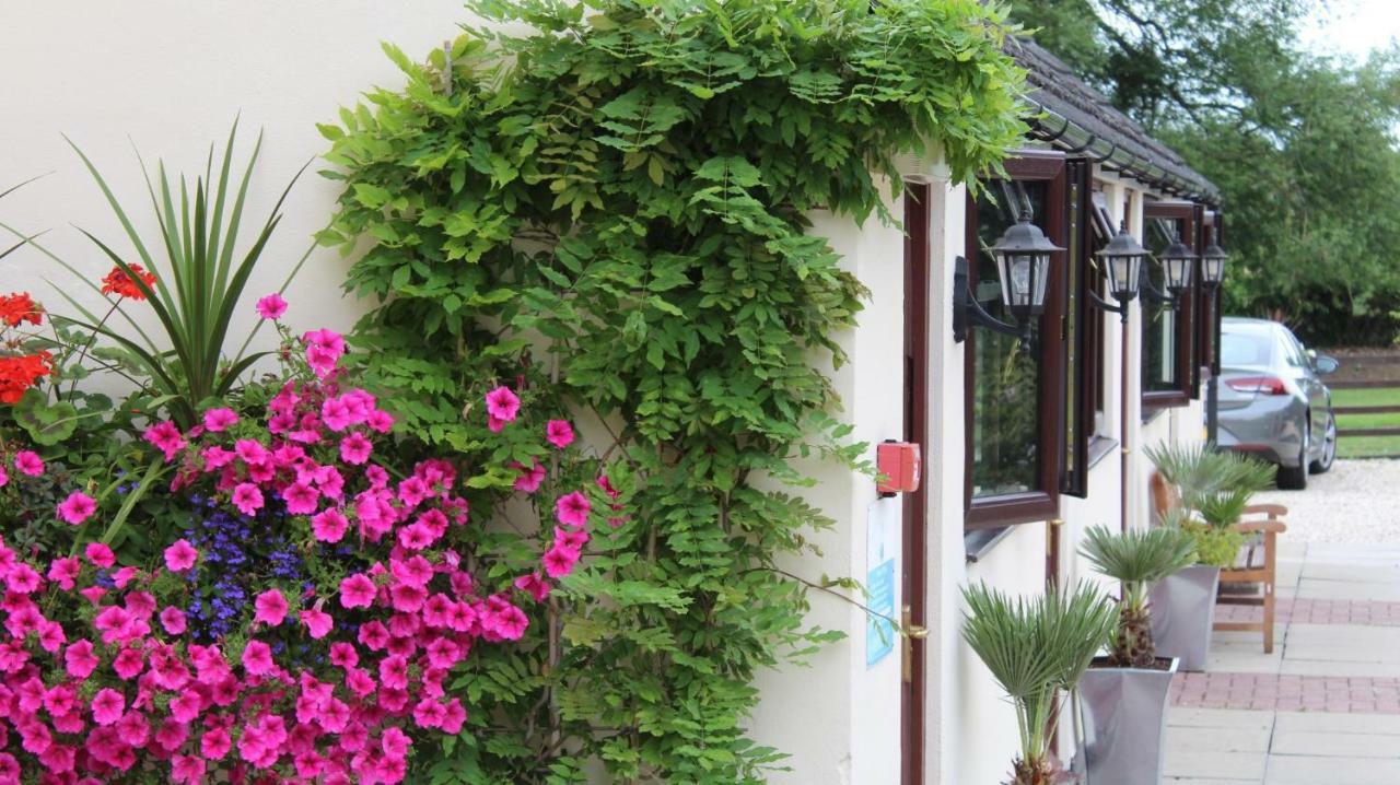 Hope Orchard Bed & Breakfast Golden Valley Bagian luar foto